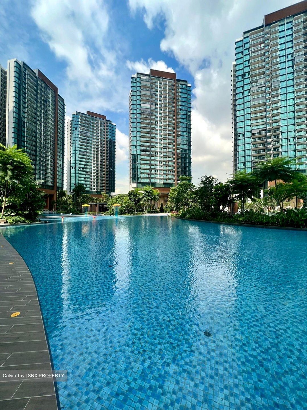 Normanton Park (D5), Apartment #425960831